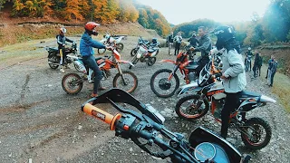 Толпою на мотоциклах у ліс Мото Закарпаття
