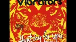 The Vibrators - Another Day Without You