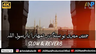 NewNaat 2023 _ Jabeen Meri Ho Sange Dar Tumhara Ya Rasool Allah _ Zohaib Ashrafi (Slow & Reverb)