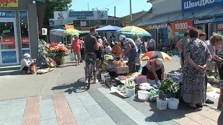 Як влада у Житомирі бореться зі стихійною торгівлею біля ринків - Житомир.info