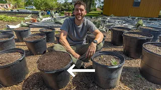 How to re use old potting soil mix from last year