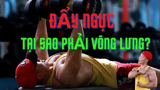 Tập ngực tại sao phải võng lưng?