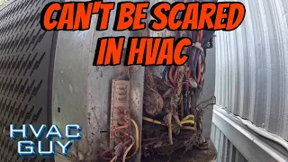 Quite the Surprise On a No Cooling Call! #hvacguy #hvaclife #hvactrainingvideos