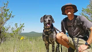 Hiking Remote Missouri Wilderness | Coy Bald Trail