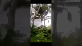 Volcano eruption 🌋 mount semeru Indonesia 🇮🇩