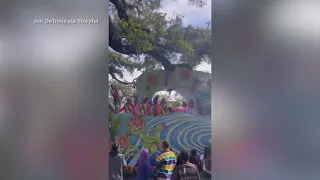 Rex float hits oak tree on Mardi Gras Day