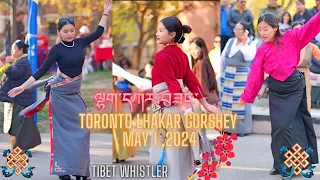 Toronto Lhakar Gorshey | 🔝 Quality | May 1,2024