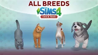 Overview of ALL BREEDS / The Sims 4 Cats & Dogs