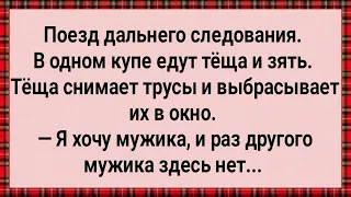 Как Теща с Зятем в Купе Отдыхали! Сборник Свежих Анекдотов! Юмор!