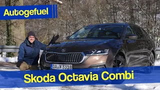 new Skoda Octavia Estate REVIEW 1.0 TSI MHEV 2021 mid-trim with good price-performance