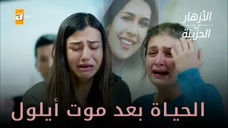 هكذا أصبحت الحياة بعد موت أيلول  - الأزهار الحزينة