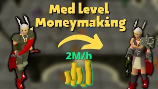 Money Making for Med Levels (10 Methods) | OSRS