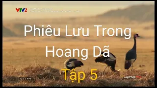 Khám Phá Thế Giới | Phiêu Lưu Trong Hoang Dã Tập 5