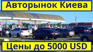 Авторынок Киев. Цены на АВТО до 5000 $. Август 2020 | Автобазар