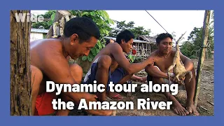 Enthralling boat trip: the Amazon River | WIDE