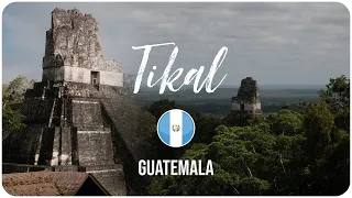 Auf den Spuren der Maya in Tikal • Guatemala | Weltreise Vlog #06