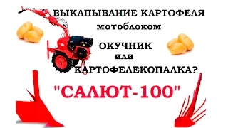 ВЫКАПЫВАНИЕ КАРТОФЕЛЯ мотоблоком Салют-100