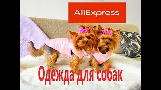 Одежда для собак с сайта AliExpress