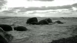 The Ocean - featuring Arc by Pearl Jam