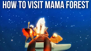 How to get to the Hidden Forest Elder's Room ❄️ Mama Forest OOB