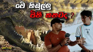 නිල්වලා ගගේ කිබුල්ලු | nilwala river crocodile | EMAA VLOG #15