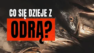 Odra - czy mamy się czego bać?