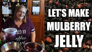 How to Make MULBERRY JELLY Recipe - Delicious & Easy