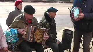 10 марта 2019 г Гармонисты Кременчуга.