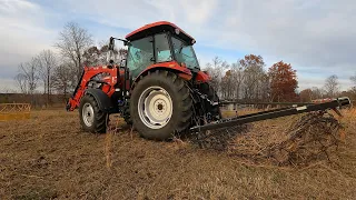 Regenerative farming How to renovate pasture without chemicals!