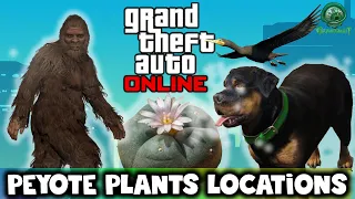 GTA Online - All 51 Land Peyote Plant Locations!