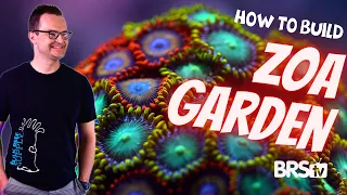 A Simple Zoa Garden for Your First Reef Tank? Our Zoanthid Only Build!