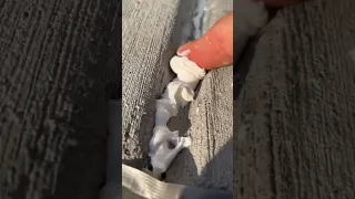 How To Repair Crack On Control Joint Sidewalk. #shorts #controljoint #concretelife #howto #handyman