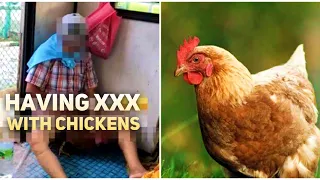 Man jailed for having S3X with chickens while wife filmed allowed to keep animals again