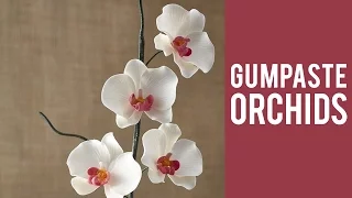 How to Make a Gum Paste Orchid