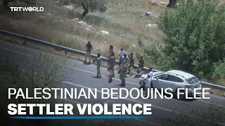 Settler violence forcing Palestinian Bedouins to flee