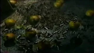 RESIDENT EVIL / BIOHAZARD - 4D Executer CG movie 2000 - Part 1/4
