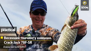 Весенний твичинг у камыша. Crack Jack 78F-SR. Алексей Шанин. Anglers Practical