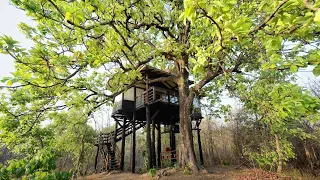 Pugdundee safaris - Pench Tree Lodge, India