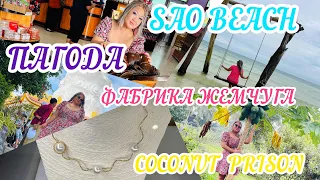 Фабрика жемчуга,пагода Фукуок, кокосовая тюрьма, пляж Сао/Perl farm, pagoda,Coconut prison,Sao Beach