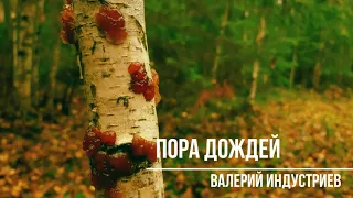 "ПОРА ДОЖДЕЙ" (Валерий Индустриев)