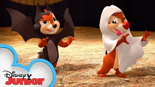 A Nutty Halloween 🎃 | Chip 'N Dale's Nutty Tales | Disney Junior