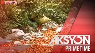 Tone-toneladang kamatis, itinapon ng mga magsasaka sa Laguna dahil sa sobrang supply