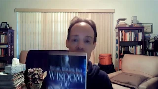Wisdom Of Souls Book Review, Life Between Lives Regression Case Studies, Michael Newton Institute