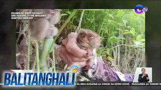 Viral video ng paghawak sa mga tarsier ng 2 vlogger, iniimbestigahan na ng DENR | BT