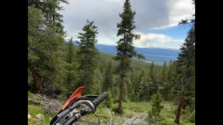 Timberline Single Track Trail at Taylor Park Colorado