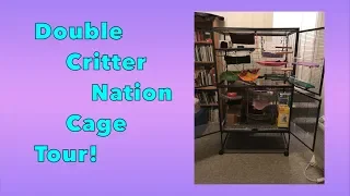 DOUBLE Critter Nation Rat Cage Tour!