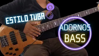 Sinaloan Tuba Bass - Electric Bass Embellishments Tutorial