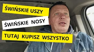 Świńskie uszy świńskie nosy . Tutaj kupisz wszystko .