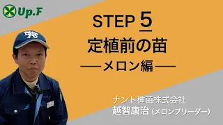 【Up.FTV メロン編 STEP5】定植前の苗