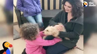 Dog Reunited with Family Gets So Happy After She Recognizes Their Scent | The Dodo